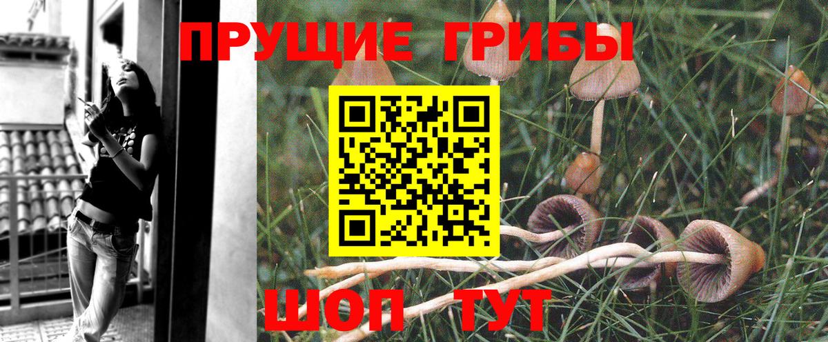 Псилоцибиновые грибы мицелий  Вход с VPN  Таганрог 